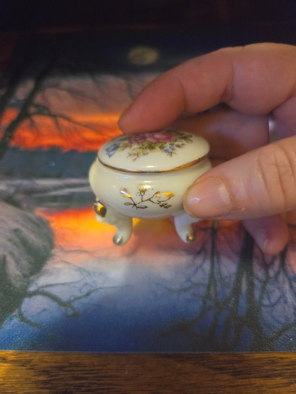 Vintage Fine Porcelain Trinket Box Footed with Lid Hand painted Numbered RARE!!